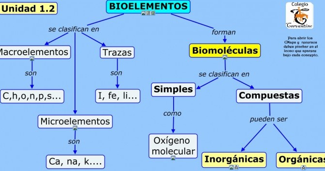 Arriba Imagen Bioelementos Y Biomoleculas Mapa Mental Abzlocal Mx