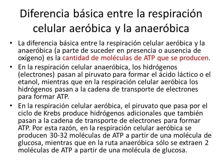 Cuadros Comparativos Entre Fotos Ntesis Y Respiraci N Cuadro Comparativo