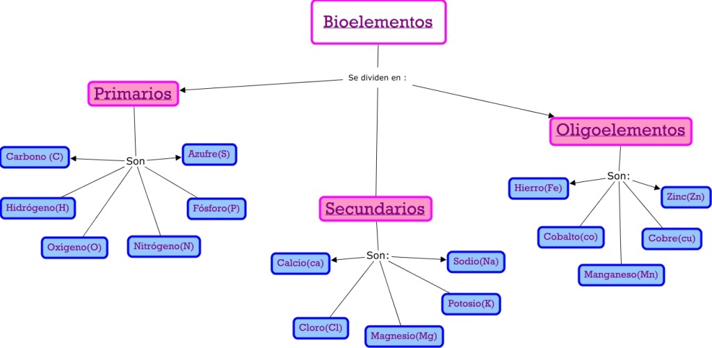 Cuadros sinópticos sobre bioelementos Cuadro Comparativo