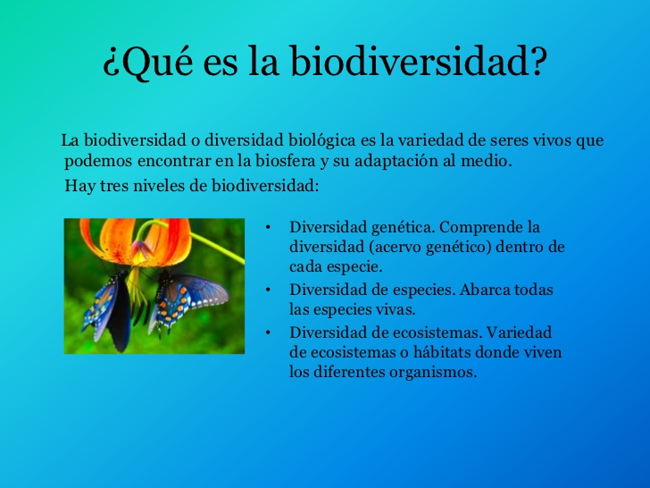 Cuadros Sinópticos Sobre Biodiversidad Cuadro Comparativo