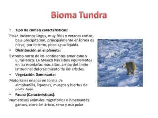 Cuadros Comparativos De Biomas Cuadro Comparativo