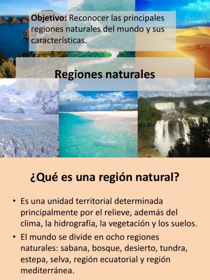 Las Regiones Naturales Tipos De Regiones Y Su Ecosist Vrogue Co