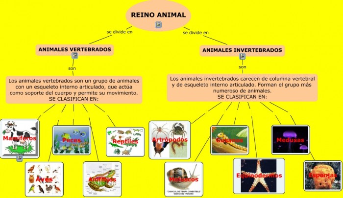 EL REINO ANIMAL.cmapp