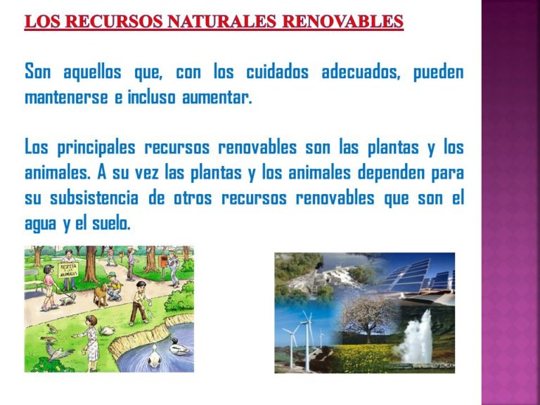 Cuadros Comparativos y sinópticos sobre recursos naturales