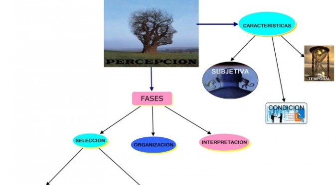 Mapas mentales y conceptuales sobre percepción | Cuadro Comparativo