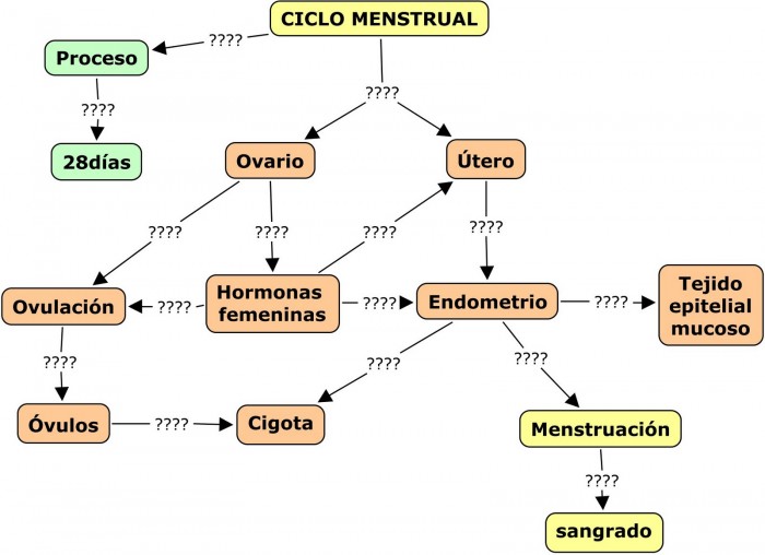 Cuadros sinópticos sobre el ciclo menstrual | Cuadro Comparativo