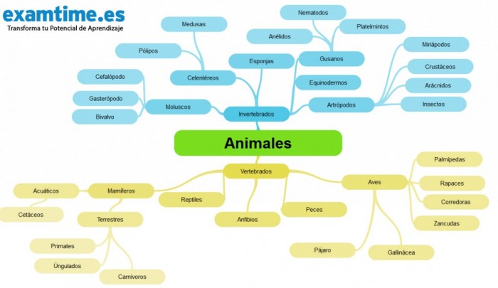 Cómo-Estudiar-Biología-Animales-1024x592