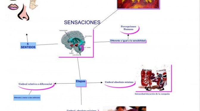 Mapas mentales sobre sensaciones | Cuadro Comparativo