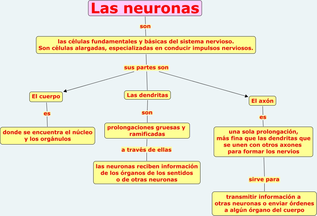 neuronas.cmap