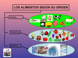 Cuadros Sinópticos Sobre Los Alimentos | Cuadro Comparativo