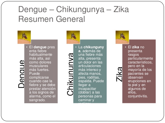 zzikadengue-chikungunya-zika-6-638