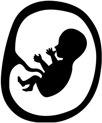 aborto-epontaneo-como-evitarlo