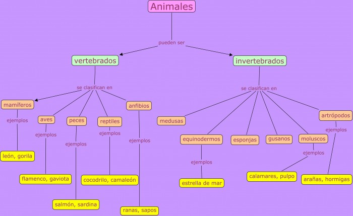 animalesMapa-Conceptual-Animales