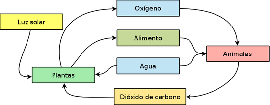ecofuncionDiagrama_básico_de_un_ecosistema