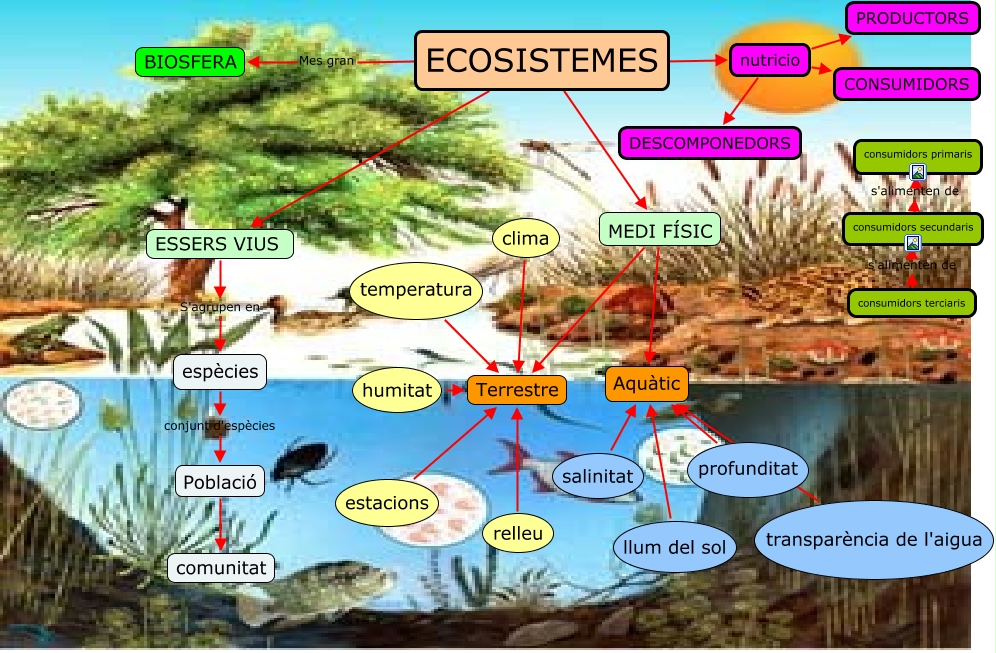 ecosistemes-cmap