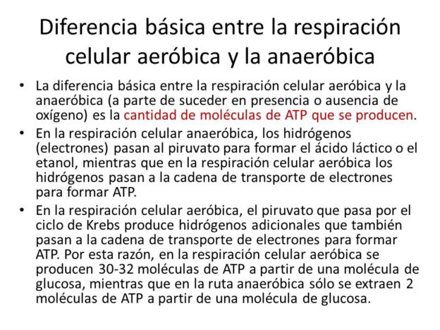Cuadros Comparativos Entre Respiracion Aerobica Y Anaerobica Cuadro Images 4134