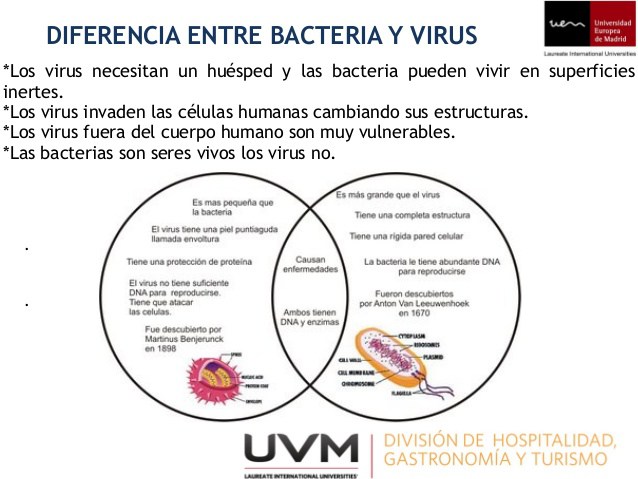 bacterias-generalidades-13-638