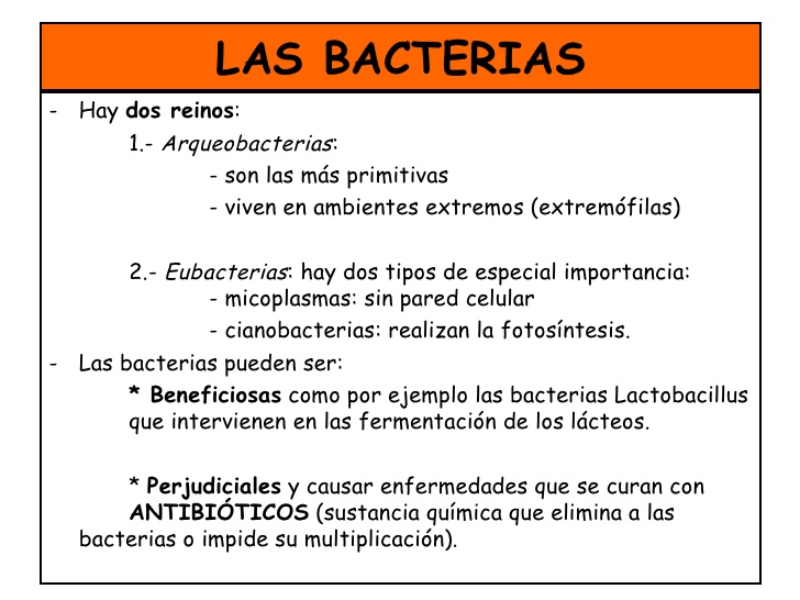 virus-bacterias-hongos-y-protistas-7-728