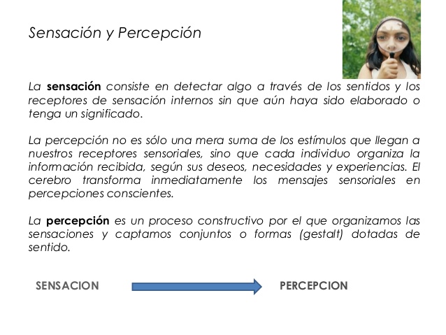 1-procesos-psicologicos-basicos-sensacion-y-percepcion-4-638