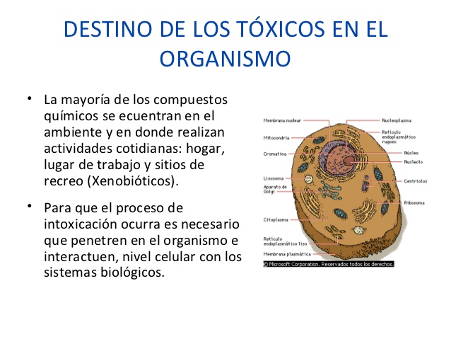 toxicologa-forense-2012-35-638
