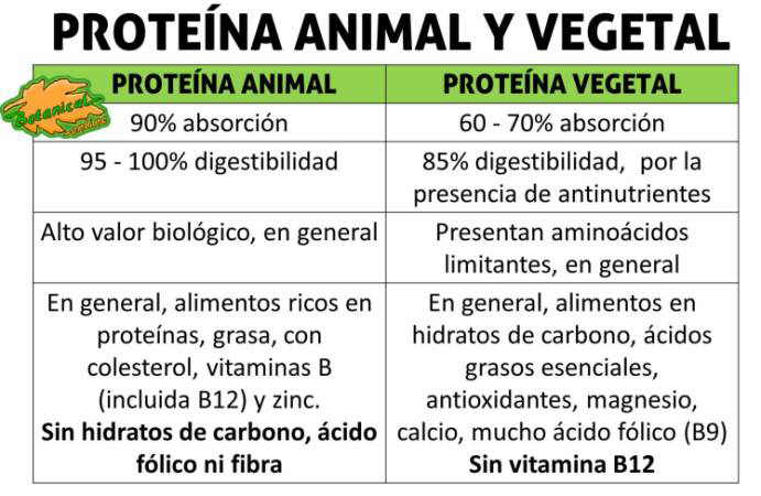 Proteínas Cuadros Sinópticos Y Comparativos Cuadro Comparativo 7882