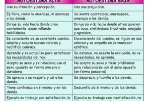 Cuadro Comparativo | Sintesis, Cuadros Sinópticos Y Comparativos