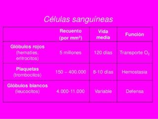 Cuadro Comparativo De Células Sanguíneas | Cuadro Comparativo