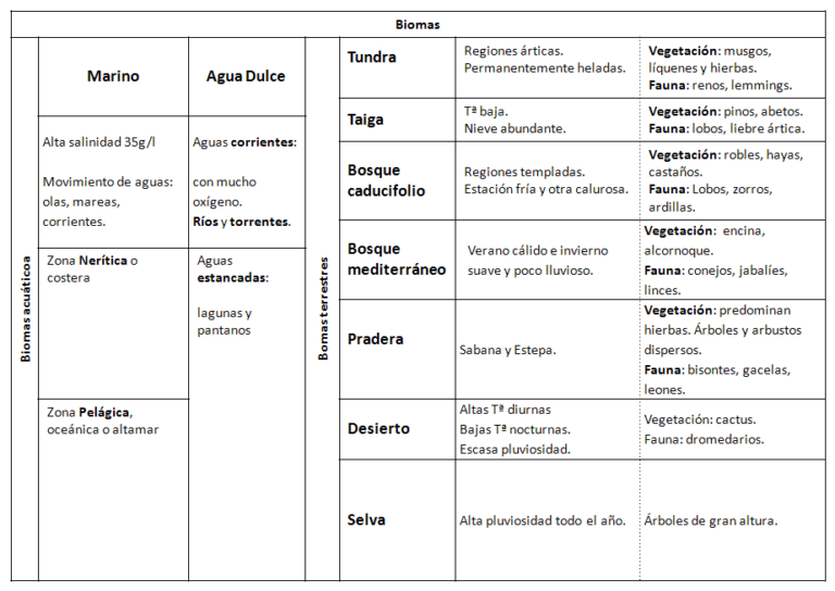 Cuadros Comparativos De Biomas Cuadro Comparativo