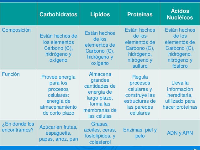Cuadros Comparativos De Carbohidratos Lípidos Proteínas Y ácidos