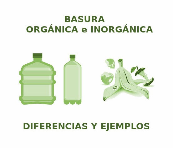 Diferencia entre Basura orgánica y Basura inorgánica | Cuadro Comparativo