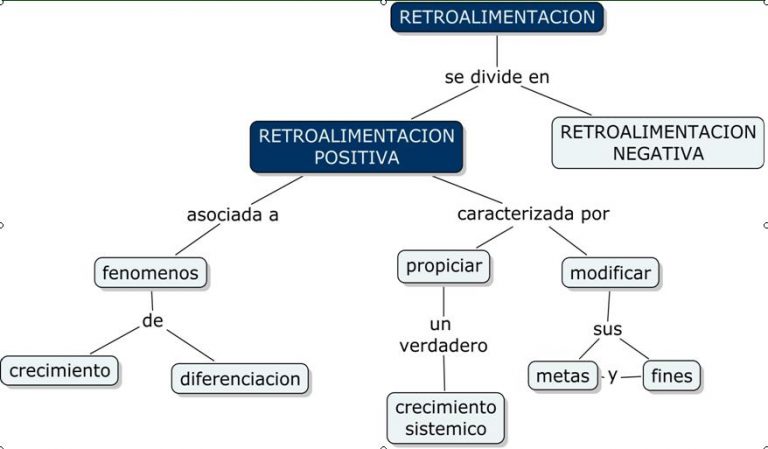 Retroalimentación positiva y retroalimentación negativa