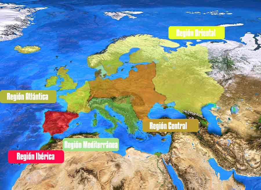 cuadros-sin-pticos-de-las-regiones-naturales-de-europa-cuadro-comparativo