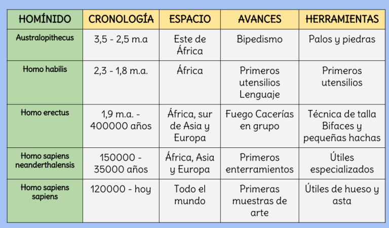 Cuadros Comparativos Entre Un Australopithecus Y Un Homo Sapiens ...